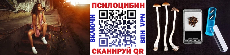 darknet какой сайт  Боровск  Псилоцибиновые грибы Cubensis 